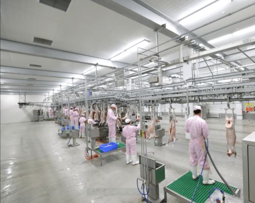 強特色 興產業 錫市農副食品業與鄭州軟件開發雙輪驅動工業高質量發展